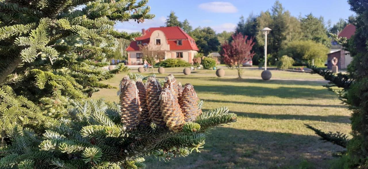Sielanka - Domki I Pokoje Pod Leba Zarnowska Exteriör bild